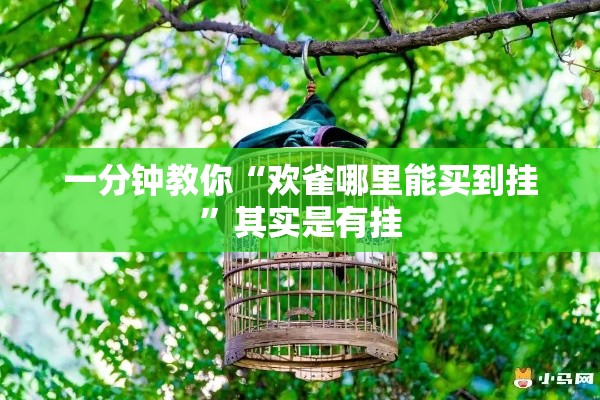 一分钟教你“欢雀哪里能买到挂”其实是有挂