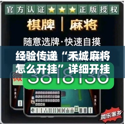 经验传递“禾城麻将怎么开挂”详细开挂教程