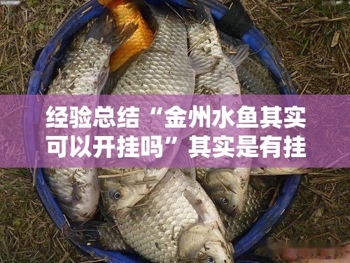 经验总结“金州水鱼其实可以开挂吗”其实是有挂