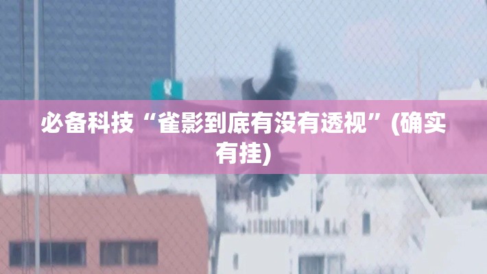 必备科技“雀影到底有没有透视”(确实有挂)