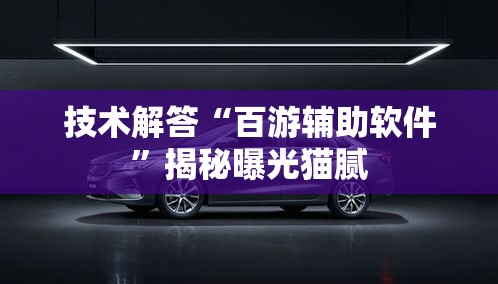 技术解答“百游辅助软件”揭秘曝光猫腻