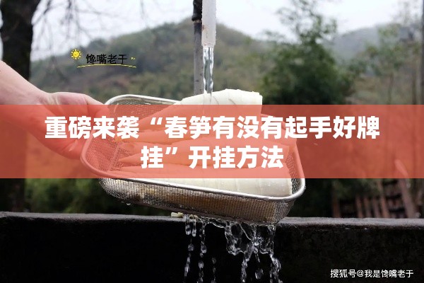 重磅来袭“春笋有没有起手好牌挂”开挂方法