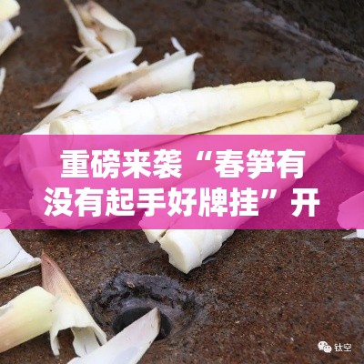 重磅来袭“春笋有没有起手好牌挂”开挂方法