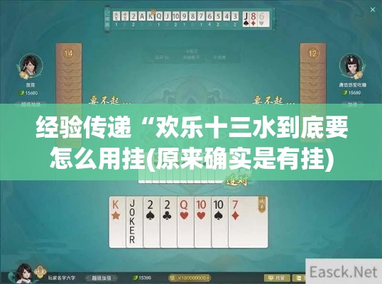 经验传递“欢乐十三水到底要怎么用挂(原来确实是有挂) 经验传递“欢乐十三水到底要怎么用挂(原来确实是有挂)