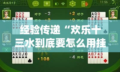 经验传递“欢乐十三水到底要怎么用挂(原来确实是有挂) 经验传递“欢乐十三水到底要怎么用挂(原来确实是有挂)