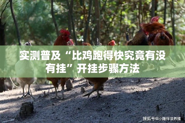 实测普及“比鸡跑得快究竟有没有挂”开挂步骤方法