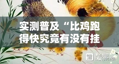 实测普及“比鸡跑得快究竟有没有挂	”开挂步骤方法