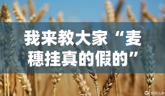 我来教大家“麦穗挂真的假的	”真的有挂