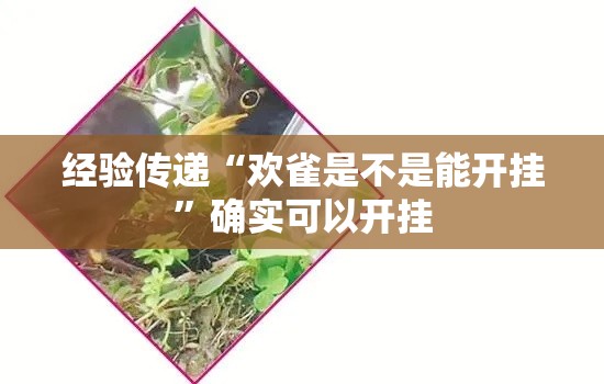 经验传递“欢雀是不是能开挂”确实可以开挂
