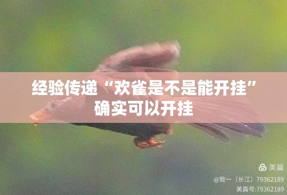 经验传递“欢雀是不是能开挂	”确实可以开挂