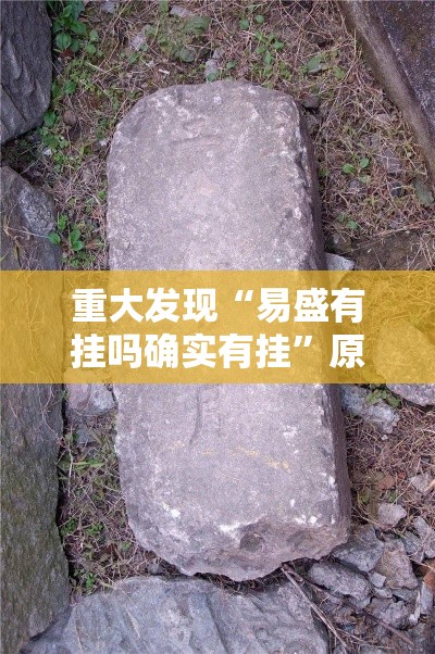 重大发现“易盛有挂吗确实有挂”原来有挂