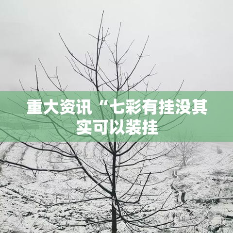 重大资讯“七彩有挂没其实可以装挂