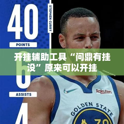 开挂辅助工具“问鼎有挂没”原来可以开挂