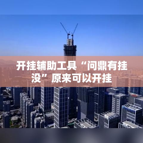 开挂辅助工具“问鼎有挂没”原来可以开挂