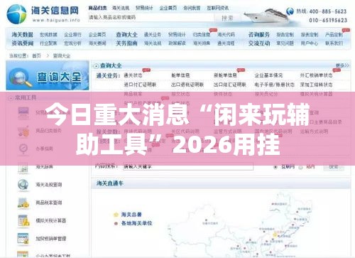 今日重大消息“闲来玩辅助工具”2026用挂