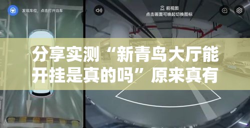 分享实测“新青鸟大厅能开挂是真的吗”原来真有挂
