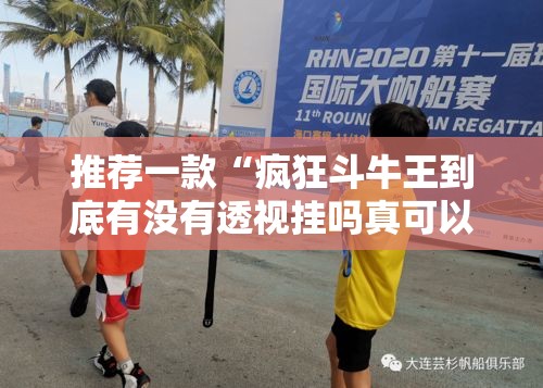 推荐一款“疯狂斗牛王到底有没有透视挂吗真可以装挂