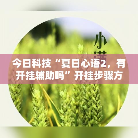 今日科技“夏日心语2，有开挂辅助吗	”开挂步骤方法
