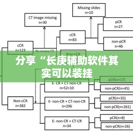 分享“长庚辅助软件其实可以装挂