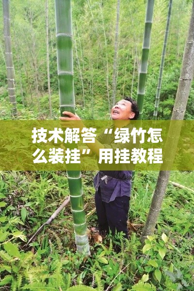 技术解答“绿竹怎么装挂”用挂教程