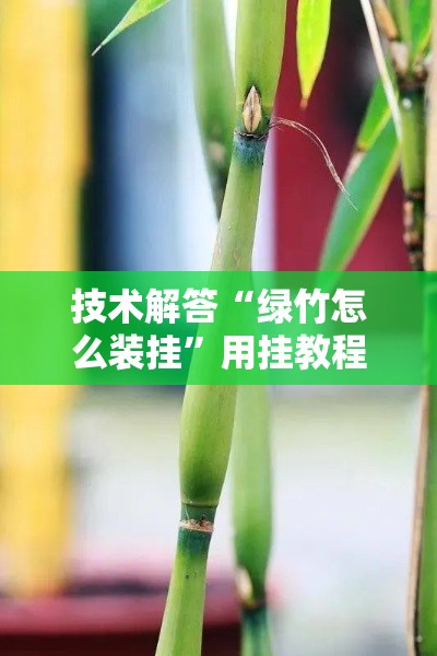 技术解答“绿竹怎么装挂”用挂教程