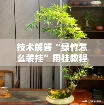 技术解答“绿竹怎么装挂”用挂教程