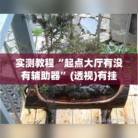 实测教程“起点大厅有没有辅助器”(透视)有挂