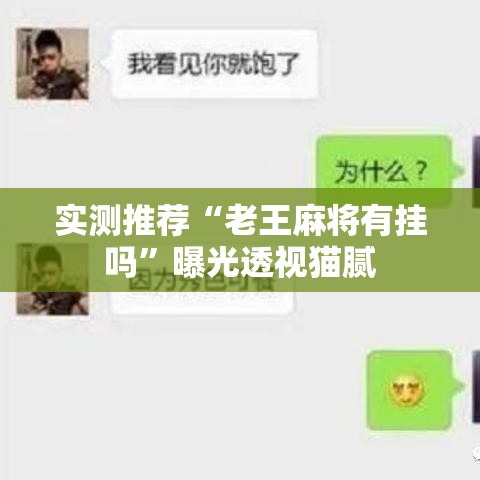 实测推荐“老王麻将有挂吗”曝光透视猫腻