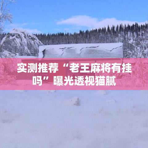实测推荐“老王麻将有挂吗	”曝光透视猫腻