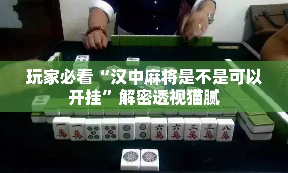 玩家必看“汉中麻将是不是可以开挂”解密透视猫腻