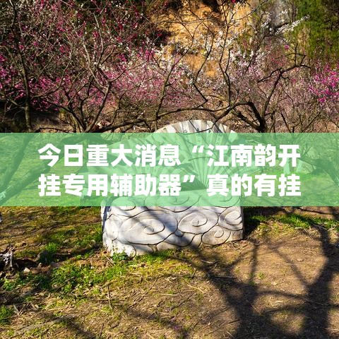 今日重大消息“江南韵开挂专用辅助器”真的有挂
