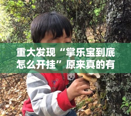 重大发现“掌乐宝到底怎么开挂”原来真的有挂