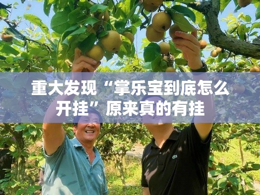 重大发现“掌乐宝到底怎么开挂”原来真的有挂