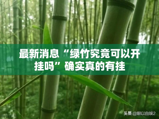 最新消息“绿竹究竟可以开挂吗	”确实真的有挂