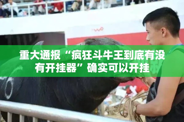 重大通报“疯狂斗牛王到底有没有开挂器	”确实可以开挂
