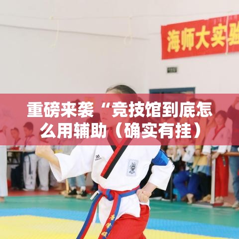 重磅来袭“竞技馆到底怎么用辅助（确实有挂）