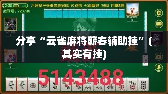 分享“云雀麻将蕲春辅助挂”(其实有挂)
