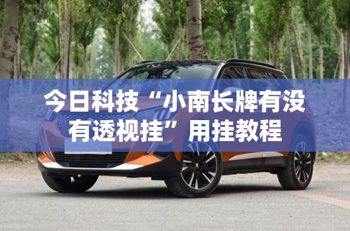 今日科技“小南长牌有没有透视挂	”用挂教程