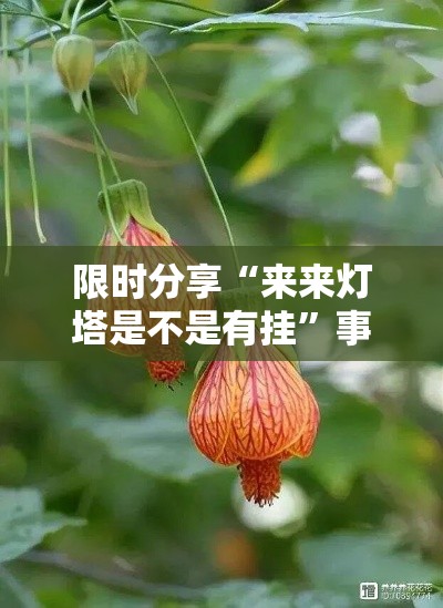 限时分享“来来灯塔是不是有挂”事实上真的有挂