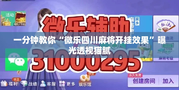 一分钟教你“微乐四川麻将开挂效果”曝光透视猫腻