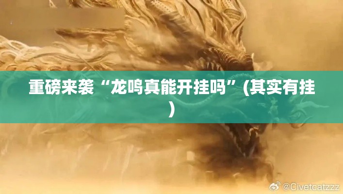 重磅来袭“龙鸣真能开挂吗”(其实有挂)