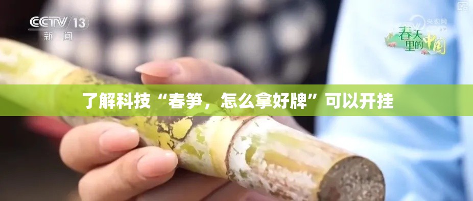 了解科技“春笋	，怎么拿好牌”可以开挂