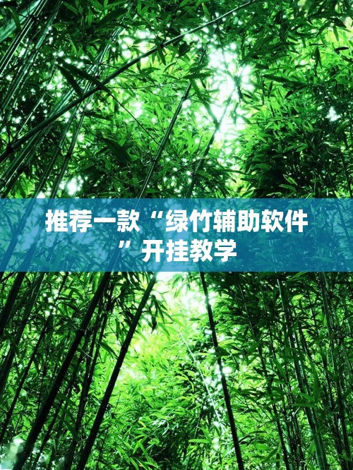 推荐一款“绿竹辅助软件	”开挂教学