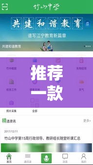 推荐一款“绿竹辅助软件”开挂教学