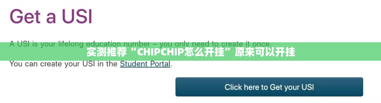 实测推荐“CHIPCHIP怎么开挂”原来可以开挂