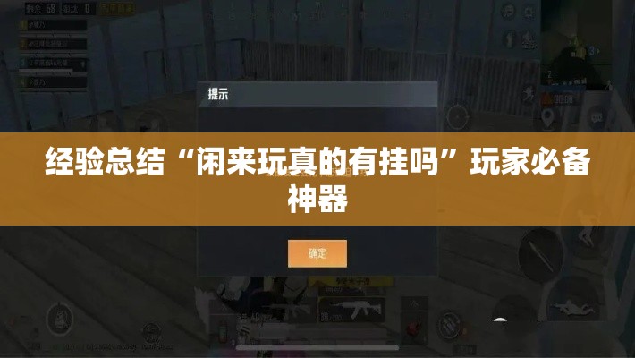 经验总结“闲来玩真的有挂吗”玩家必备神器