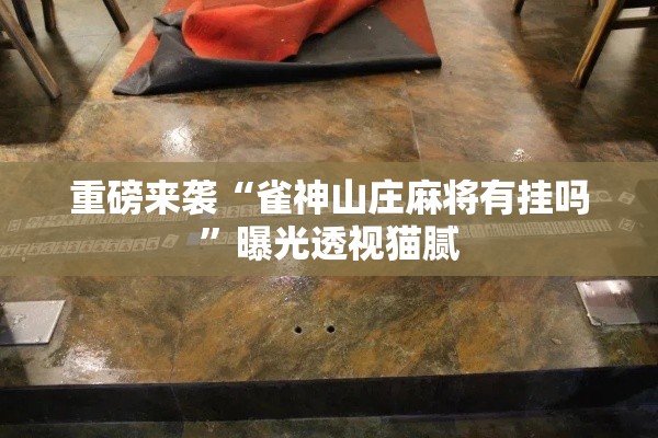 重磅来袭“雀神山庄麻将有挂吗”曝光透视猫腻
