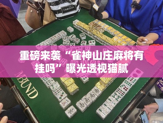 重磅来袭“雀神山庄麻将有挂吗”曝光透视猫腻