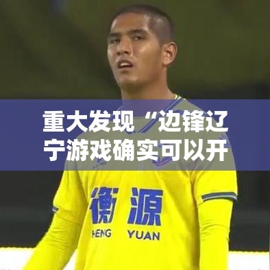 重大发现“边锋辽宁游戏确实可以开挂”其实确实有挂