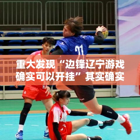 重大发现“边锋辽宁游戏确实可以开挂”其实确实有挂